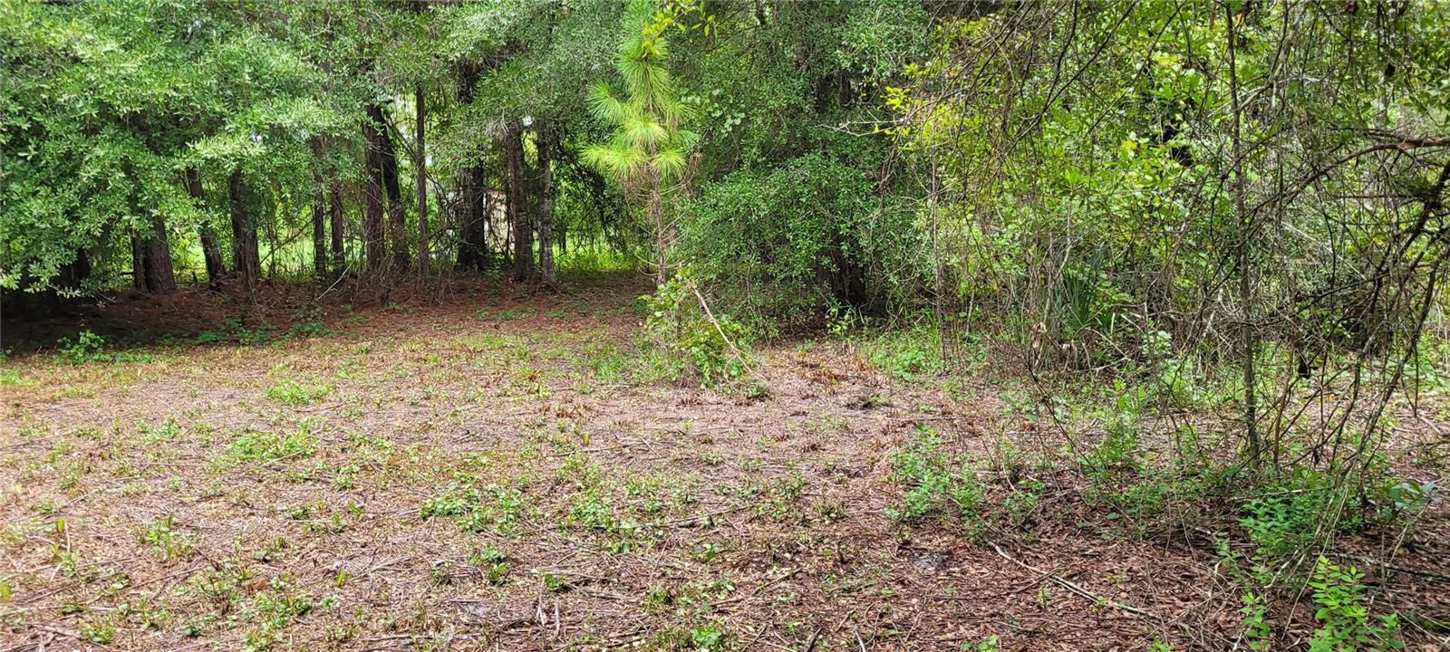 2828 FOREST PARK ST, BUNNELL, FL, 32110