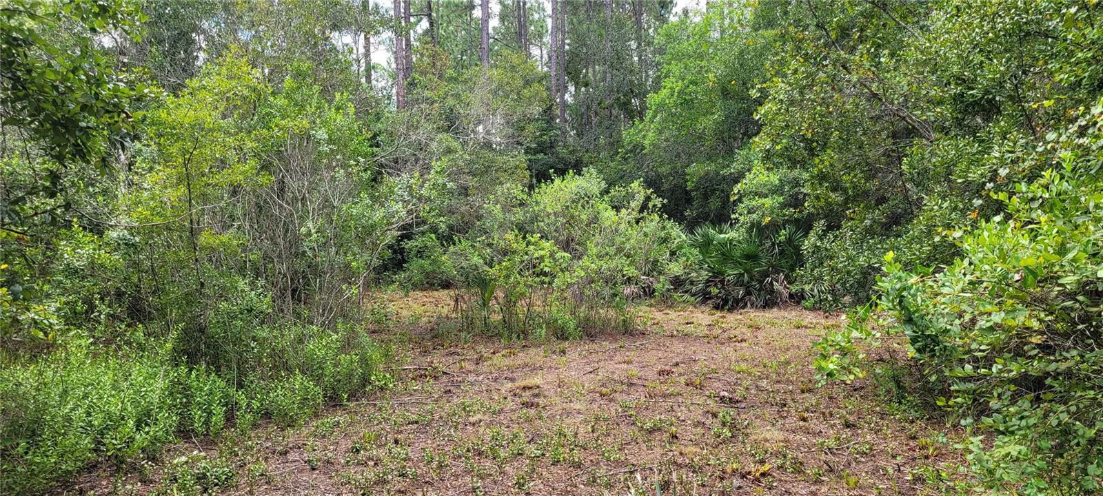 2828 FOREST PARK ST, BUNNELL, FL, 32110