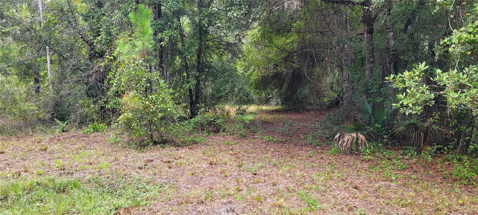 2828 FOREST PARK ST, BUNNELL, FL, 32110