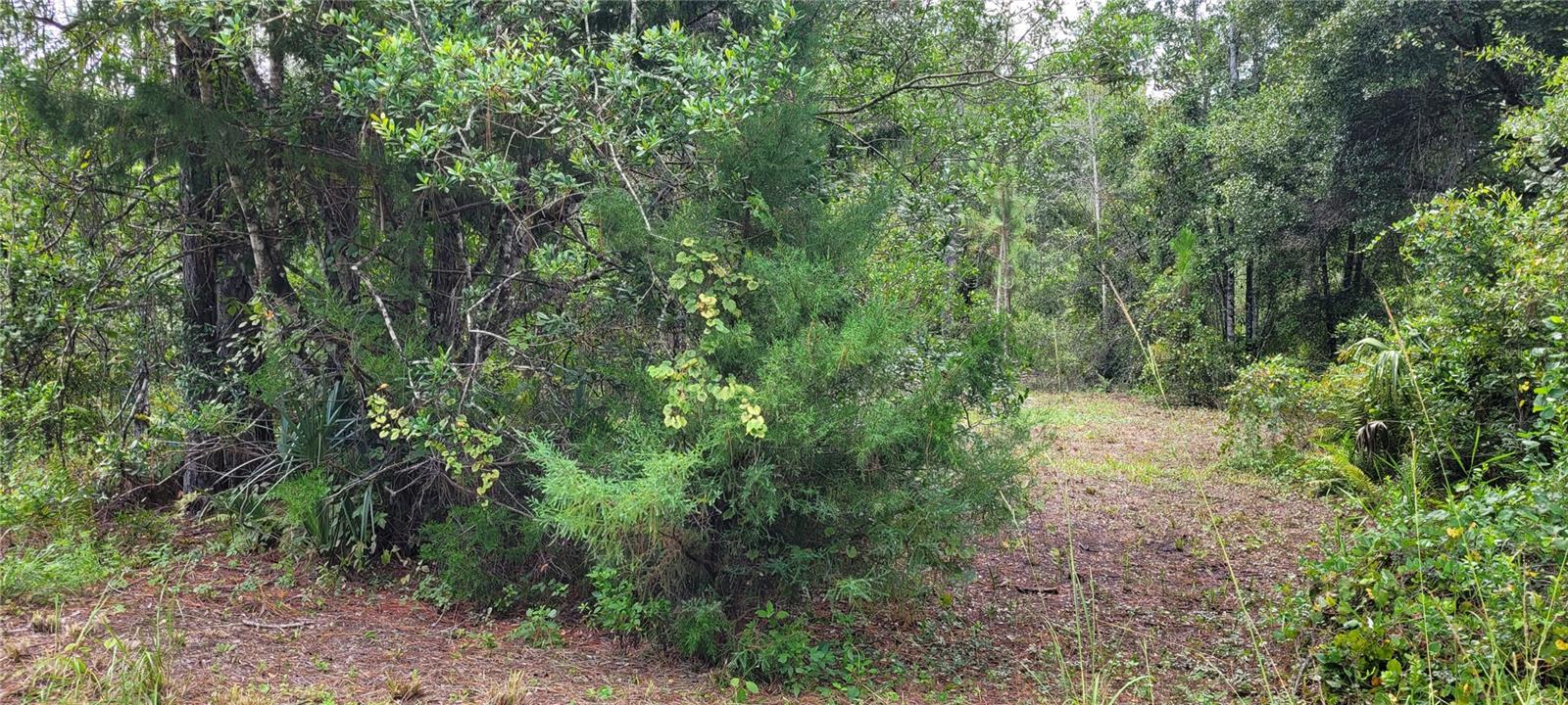 2828 FOREST PARK ST, BUNNELL, FL, 32110