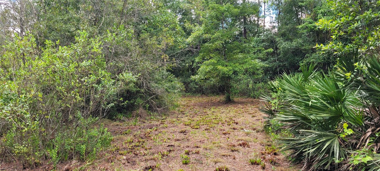 2828 FOREST PARK ST, BUNNELL, FL, 32110