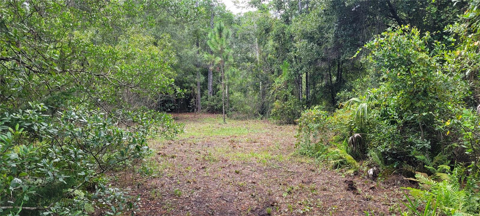 2828 FOREST PARK ST, BUNNELL, FL, 32110