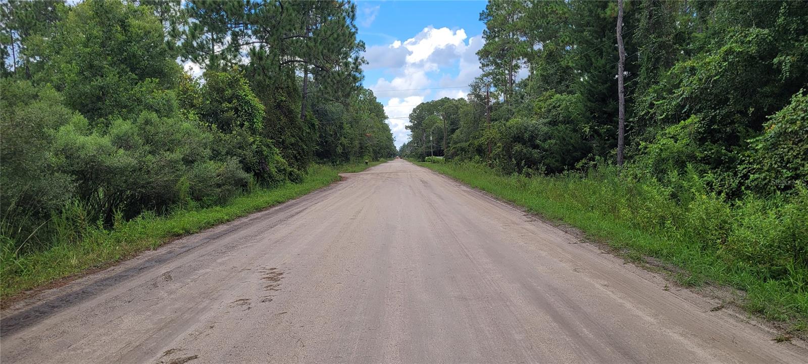 2828 FOREST PARK ST, BUNNELL, FL, 32110