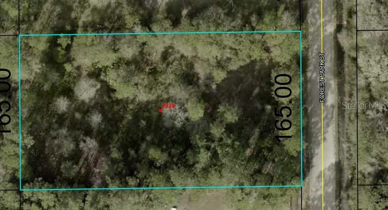 2828 FOREST PARK ST, BUNNELL, FL, 32110