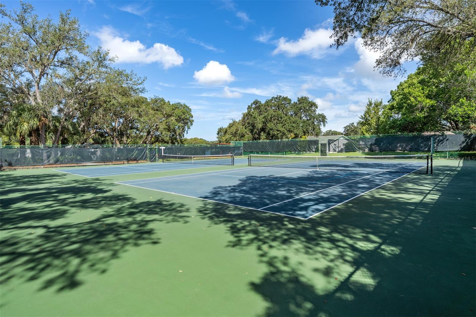 8111 BRADDOCK CIR #2, PORT RICHEY, FL, 34668