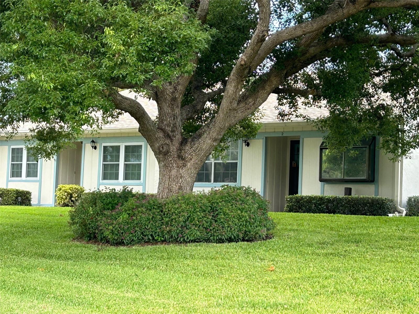 8111 BRADDOCK CIR #2, PORT RICHEY, FL, 34668