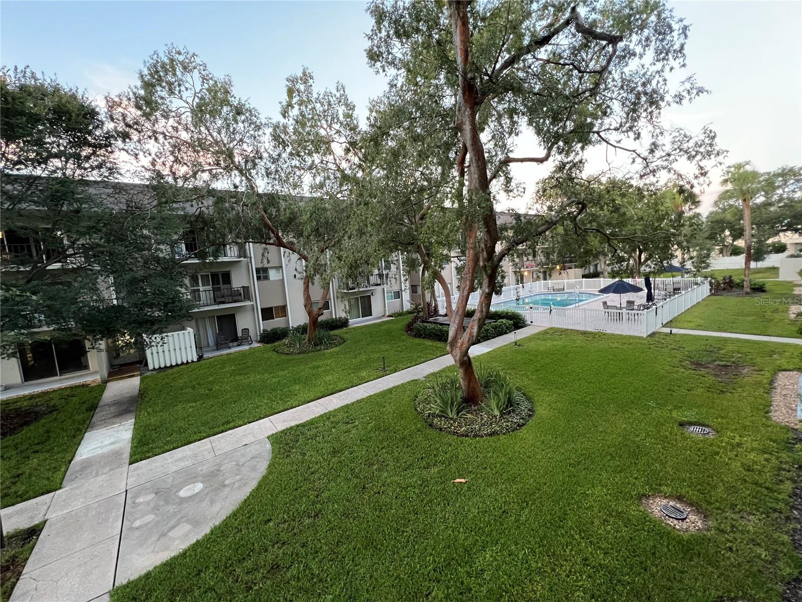 4606 W GRAY ST #205, TAMPA, FL, 33609