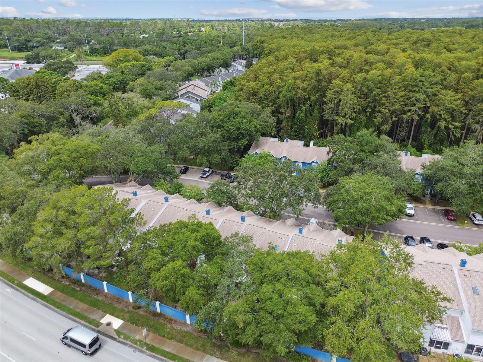 3304 FOX HUNT DR, PALM HARBOR, FL, 34683