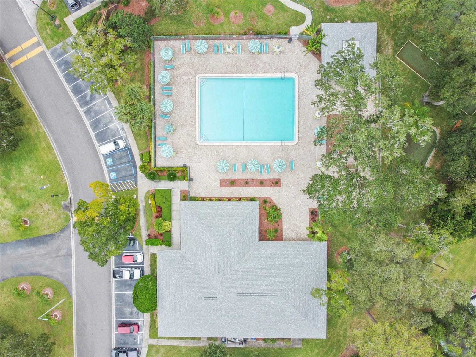 3304 FOX HUNT DR, PALM HARBOR, FL, 34683