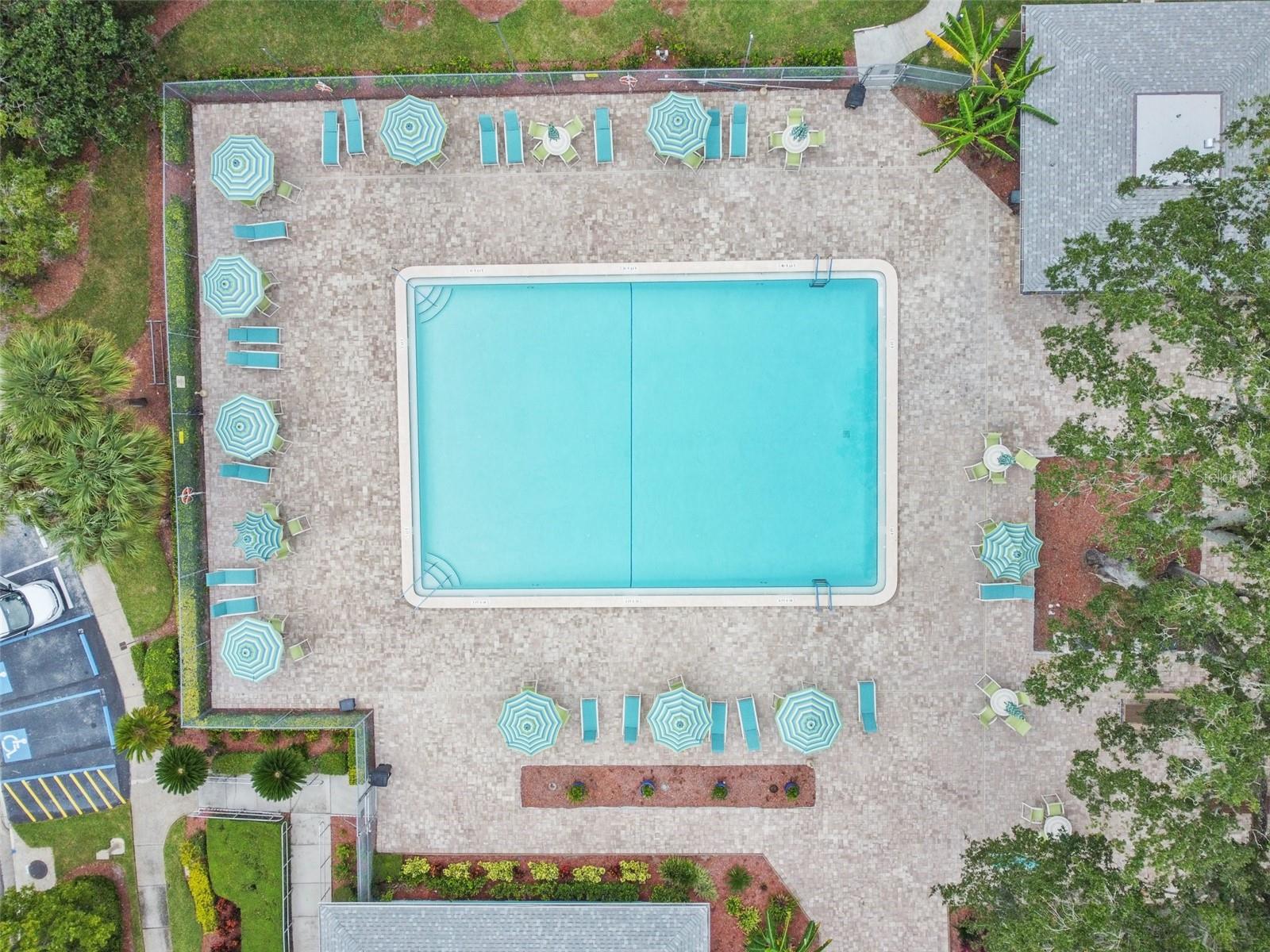 3304 FOX HUNT DR, PALM HARBOR, FL, 34683