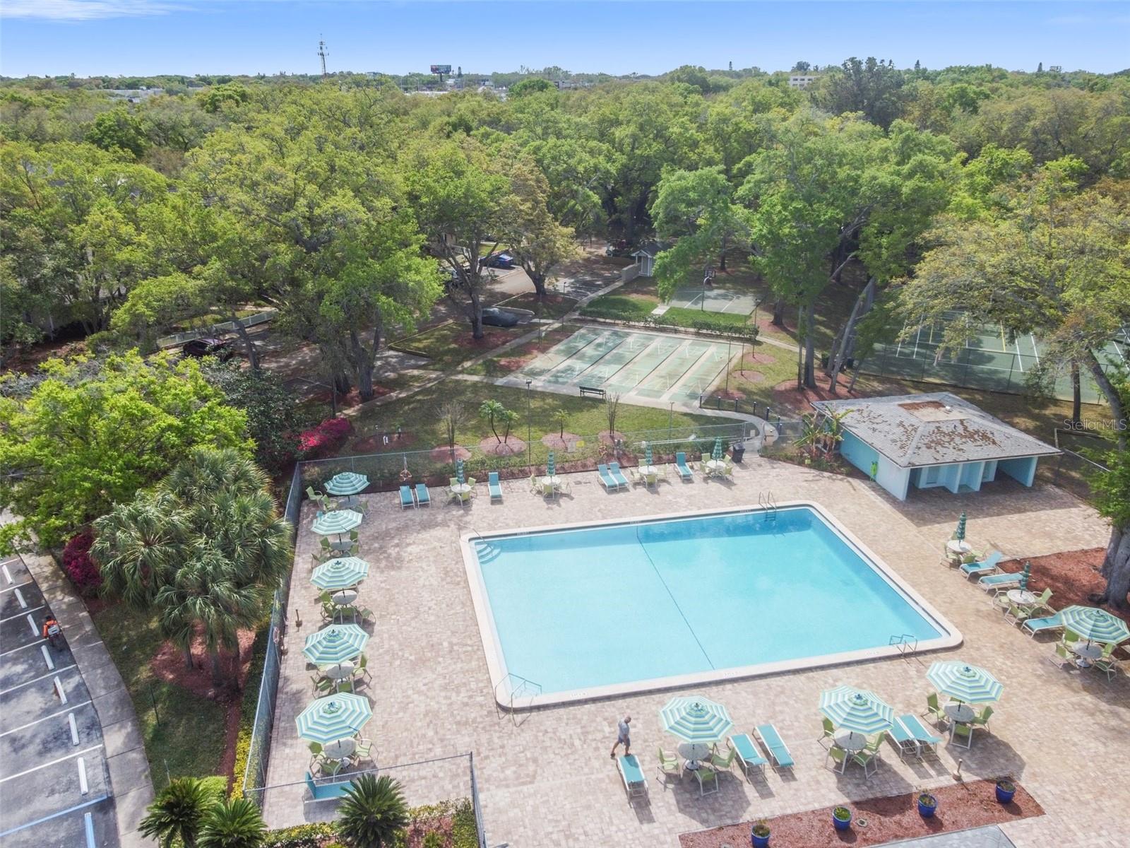 3304 FOX HUNT DR, PALM HARBOR, FL, 34683