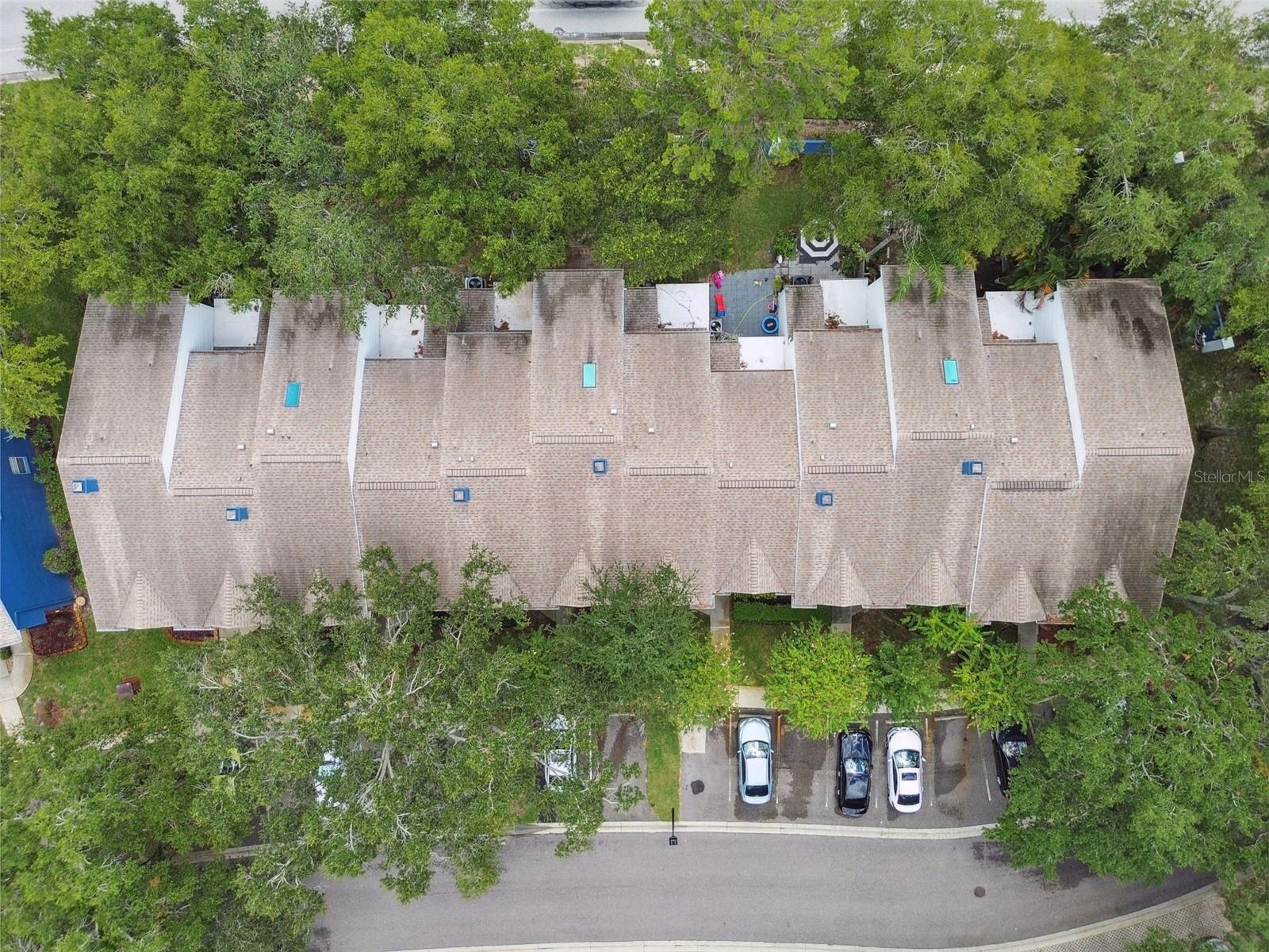 3304 FOX HUNT DR, PALM HARBOR, FL, 34683