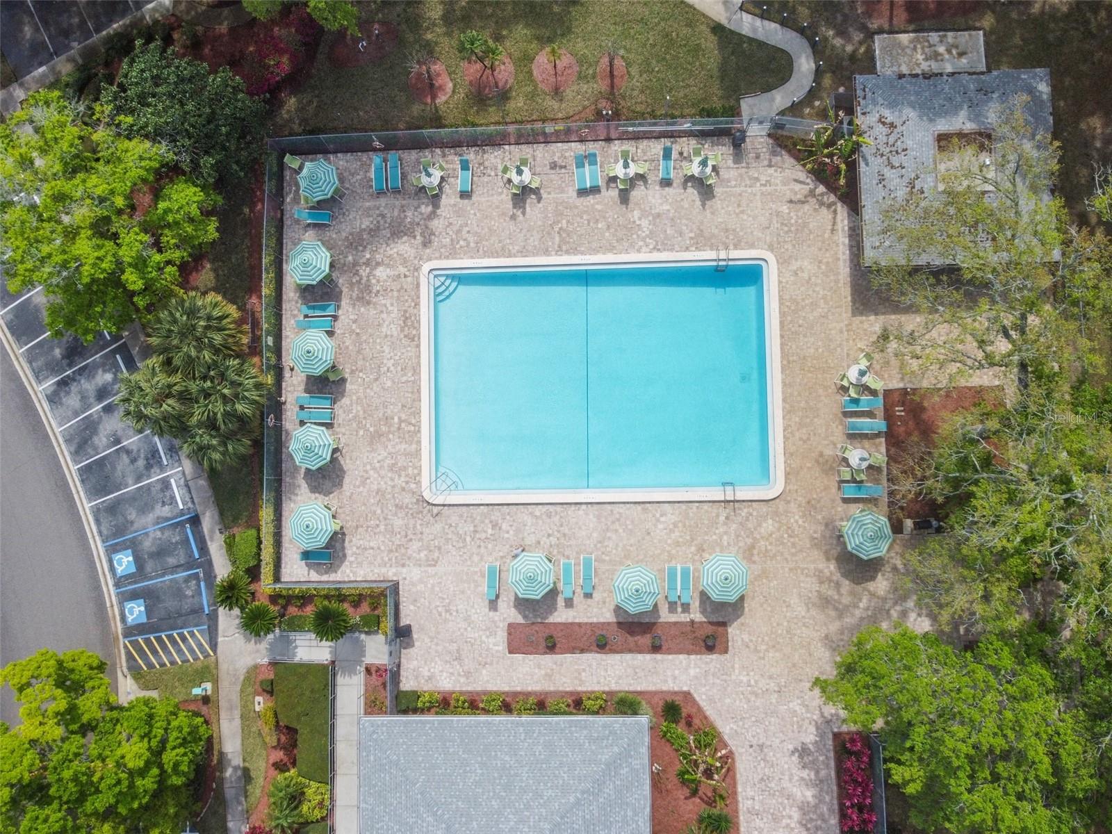 3304 FOX HUNT DR, PALM HARBOR, FL, 34683