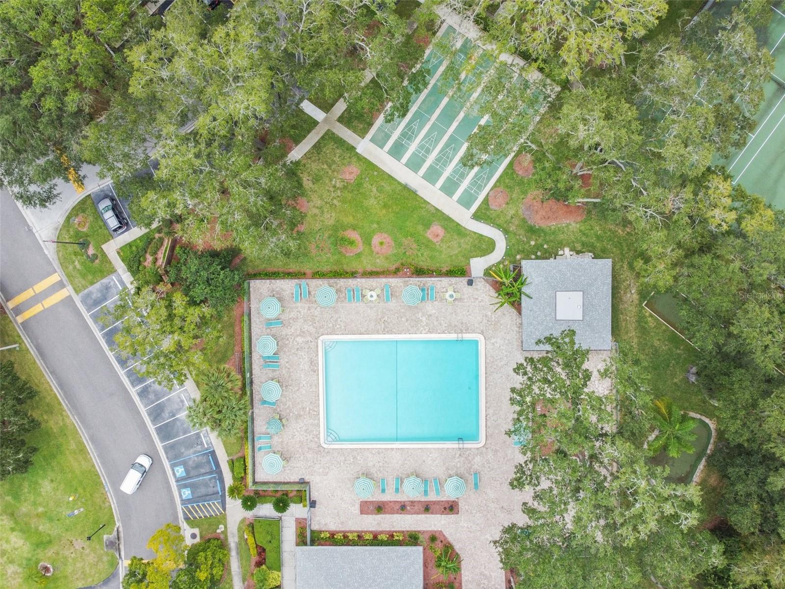 3304 FOX HUNT DR, PALM HARBOR, FL, 34683