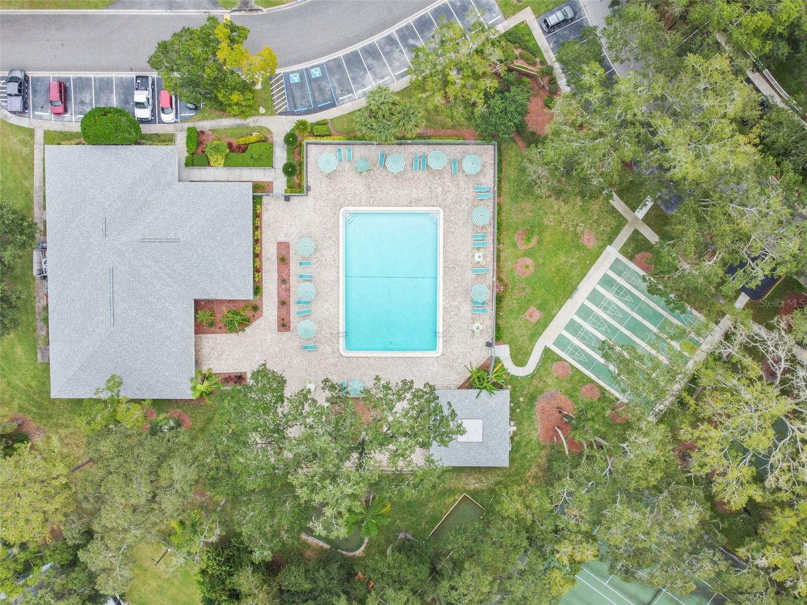 3304 FOX HUNT DR, PALM HARBOR, FL, 34683