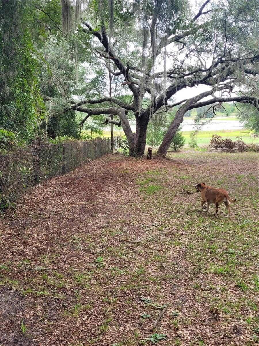 8188 S JASMINE AVE, MELROSE, FL, 32666