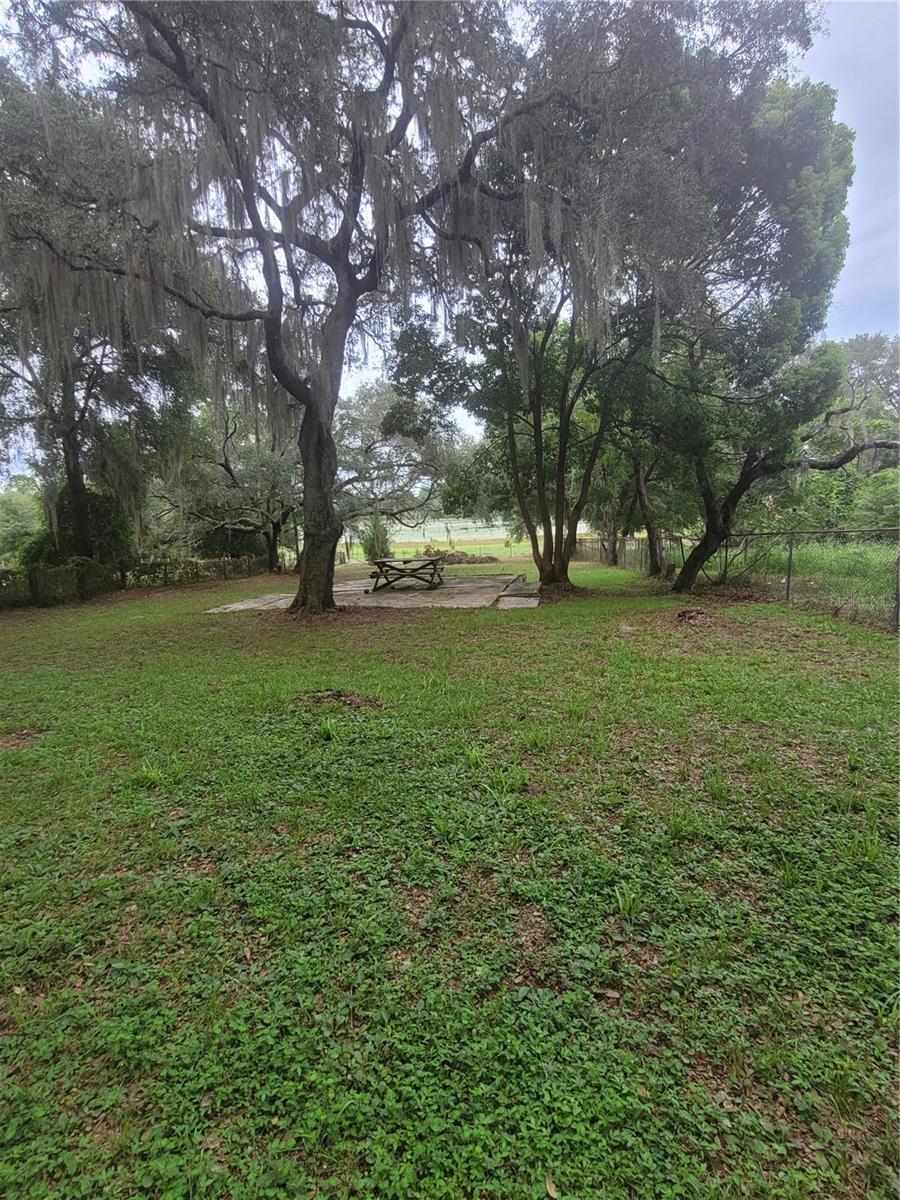 8188 S JASMINE AVE, MELROSE, FL, 32666