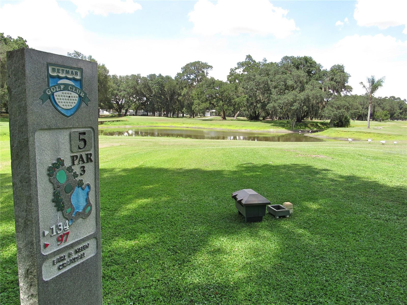 5116 CURRAN ST, ZEPHYRHILLS, FL, 33542