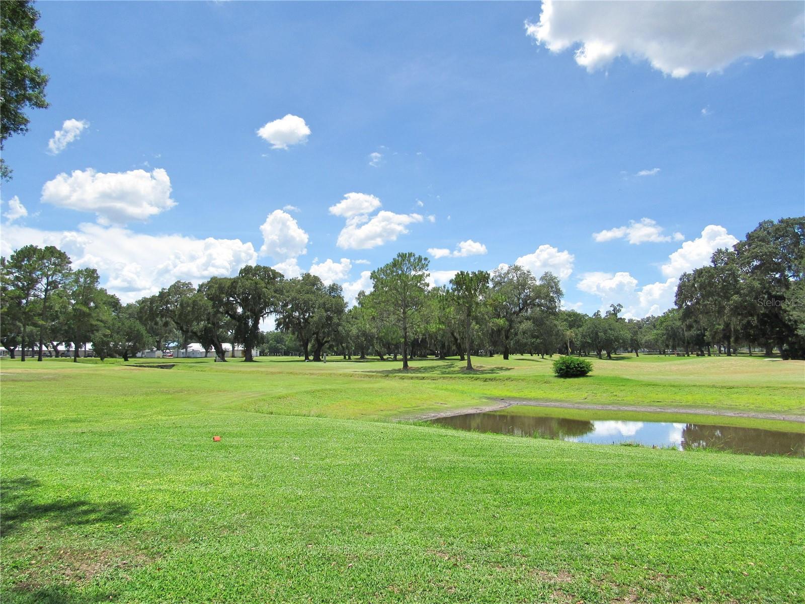 5116 CURRAN ST, ZEPHYRHILLS, FL, 33542