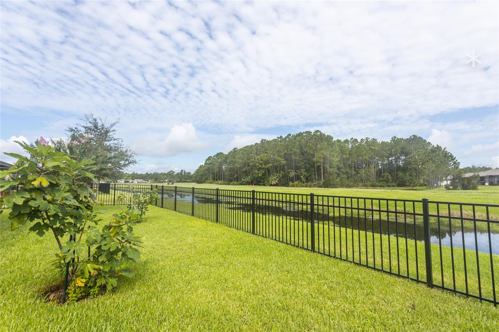 118 GOLFVIEW CT, BUNNELL, FL, 32110