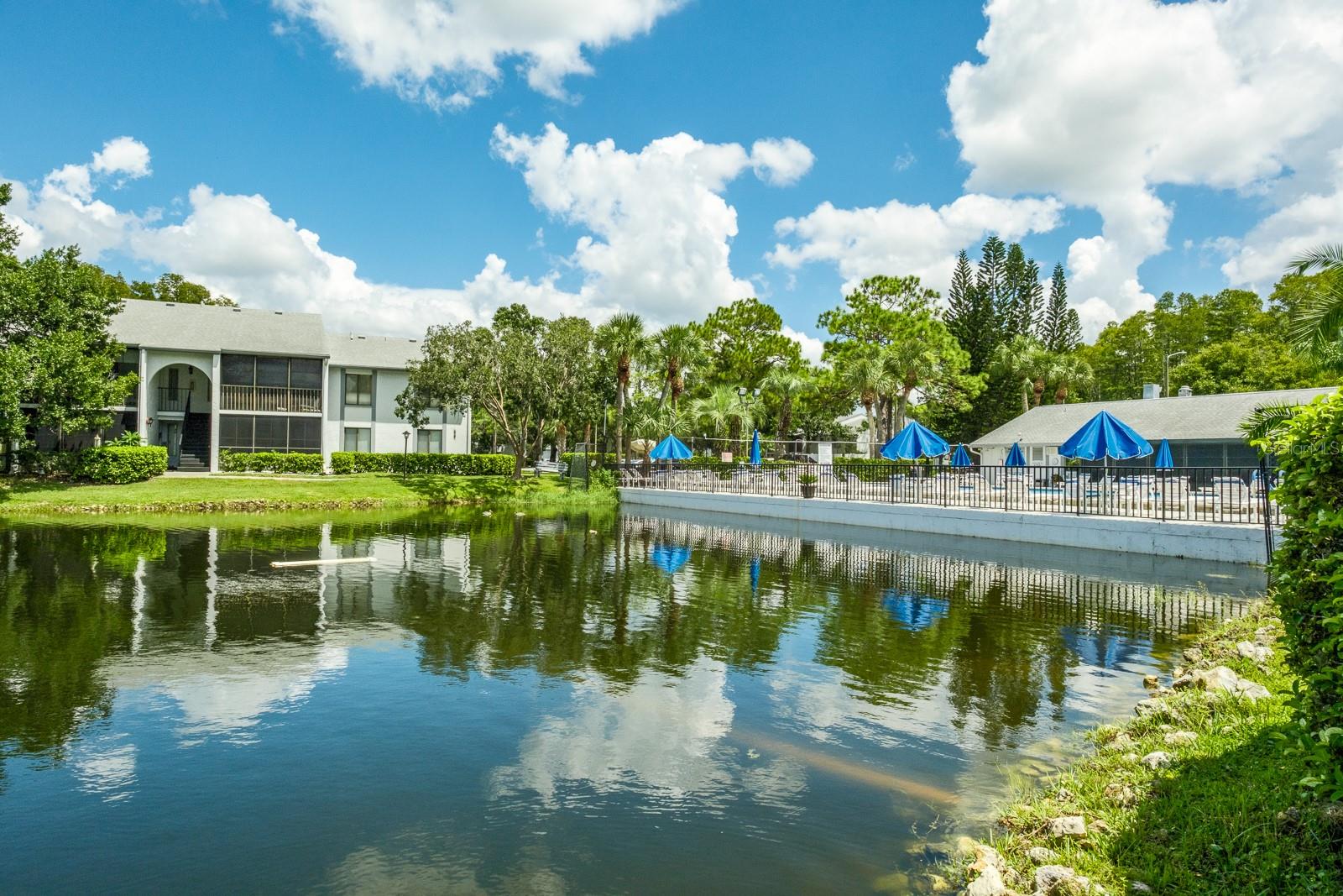 1109 PINE RIDGE CIR W #G1, TARPON SPRINGS, FL, 34688