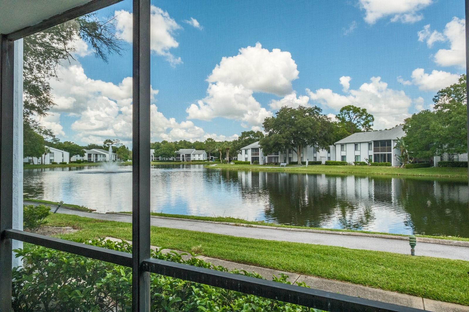 1109 PINE RIDGE CIR W #G1, TARPON SPRINGS, FL, 34688