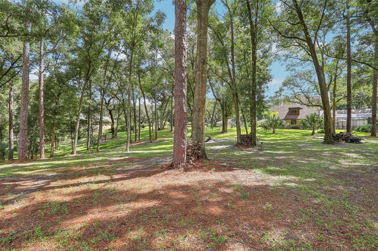 1582 COVERED BRIDGE DR, DELAND, FL, 32724