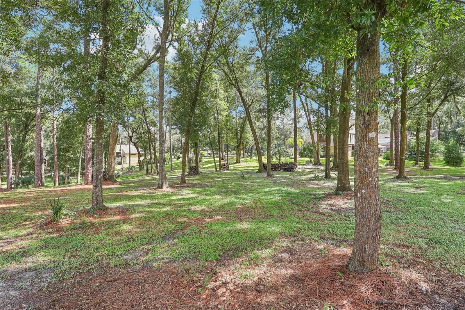 1582 COVERED BRIDGE DR, DELAND, FL, 32724