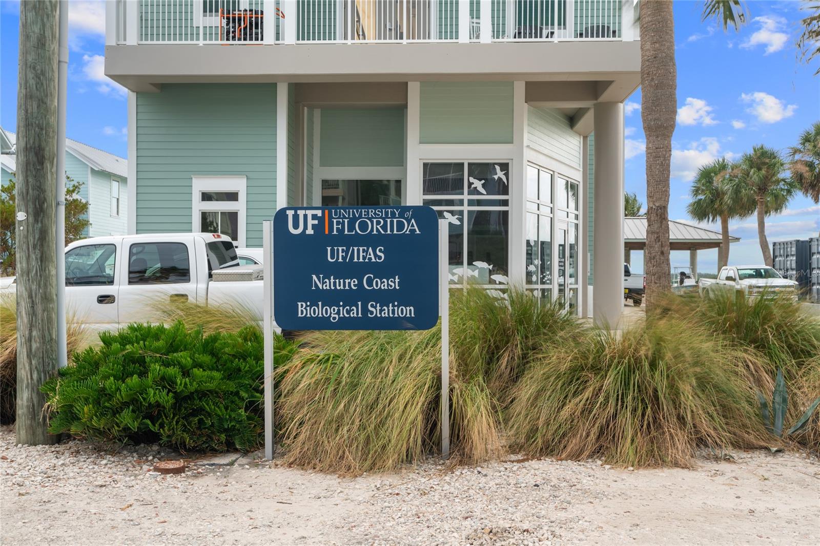 16931 SW 133RD ST, CEDAR KEY, FL, 32625