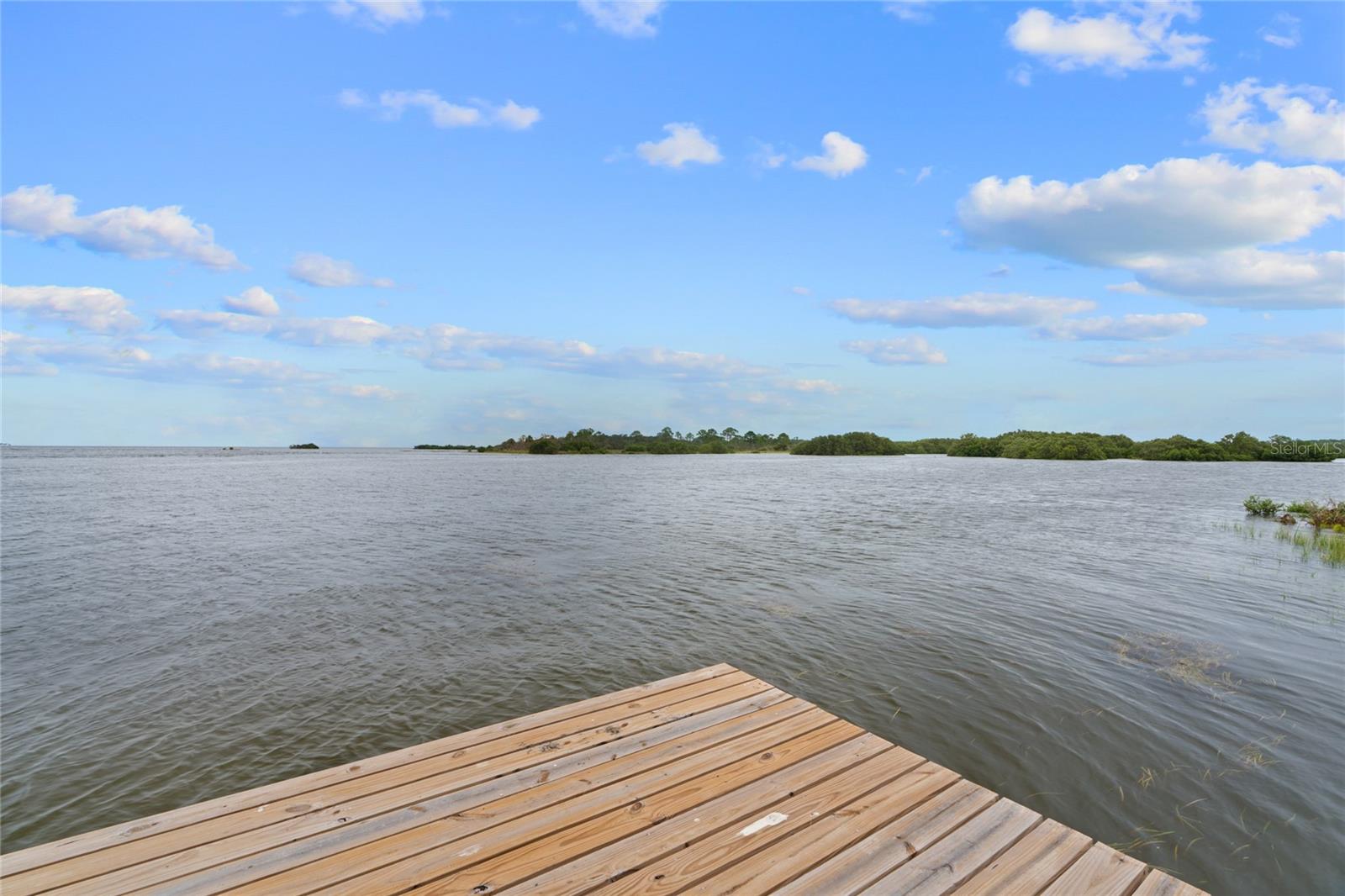 16931 SW 133RD ST, CEDAR KEY, FL, 32625