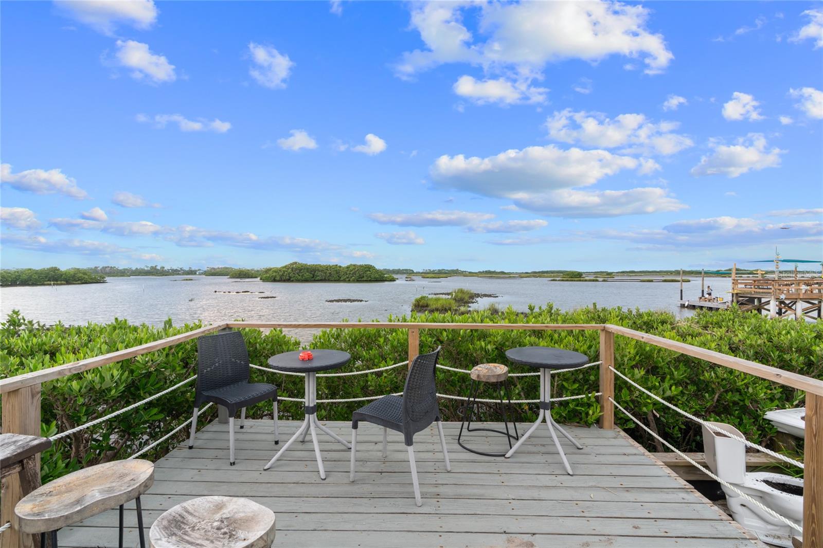16931 SW 133RD ST, CEDAR KEY, FL, 32625