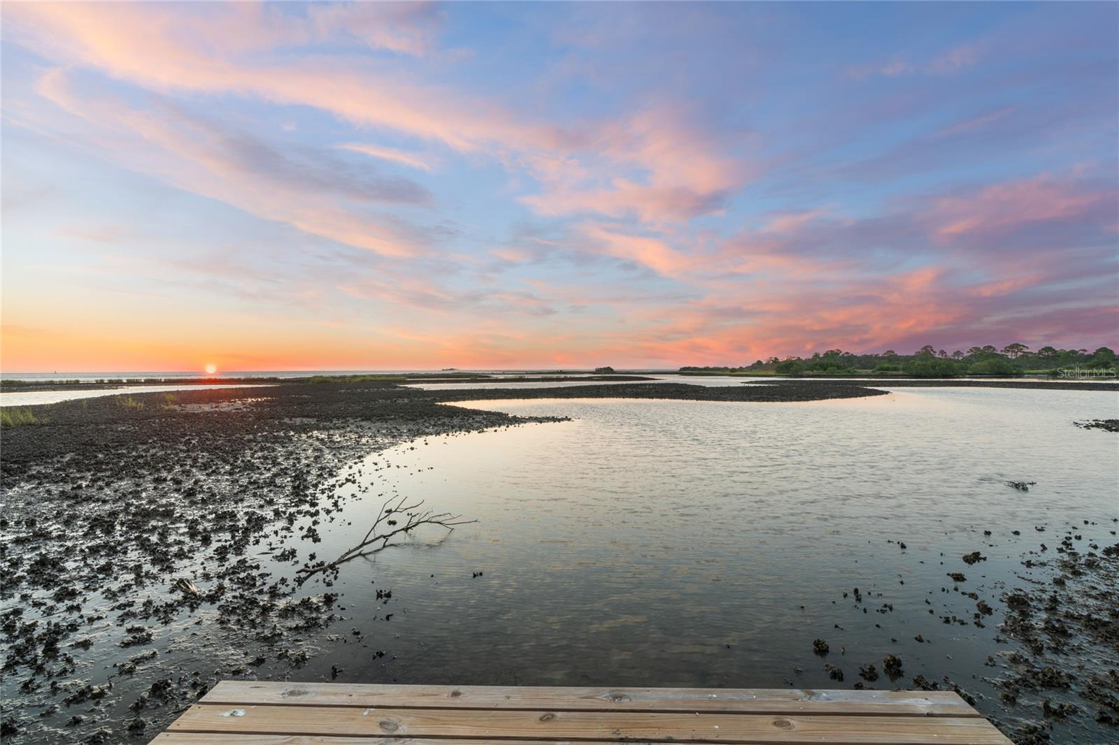 16931 SW 133RD ST, CEDAR KEY, FL, 32625