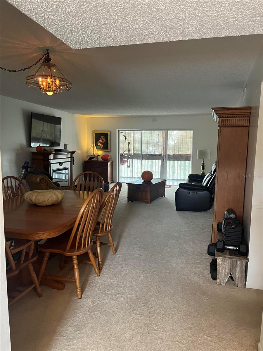 601 N MCDONALD ST #408, MOUNT DORA, FL, 32757