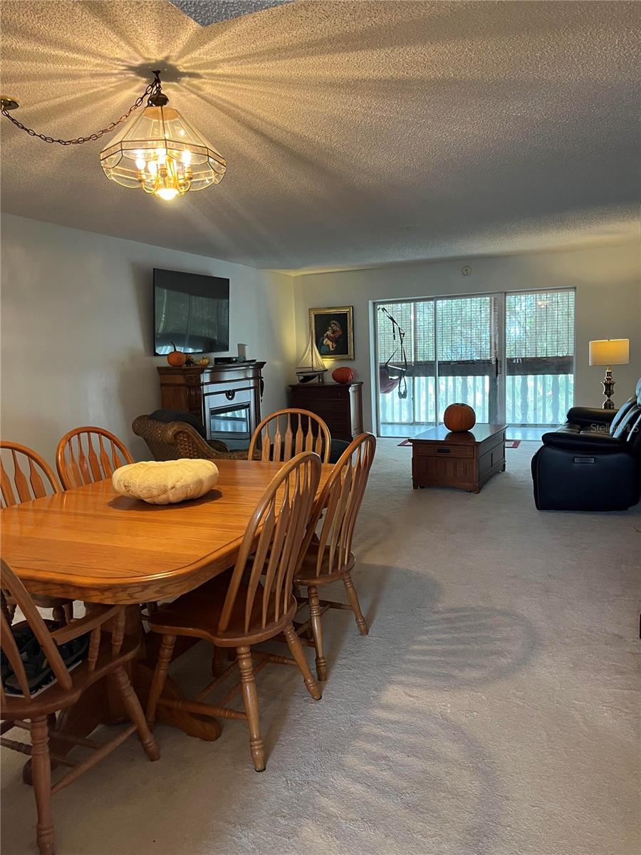 601 N MCDONALD ST #408, MOUNT DORA, FL, 32757