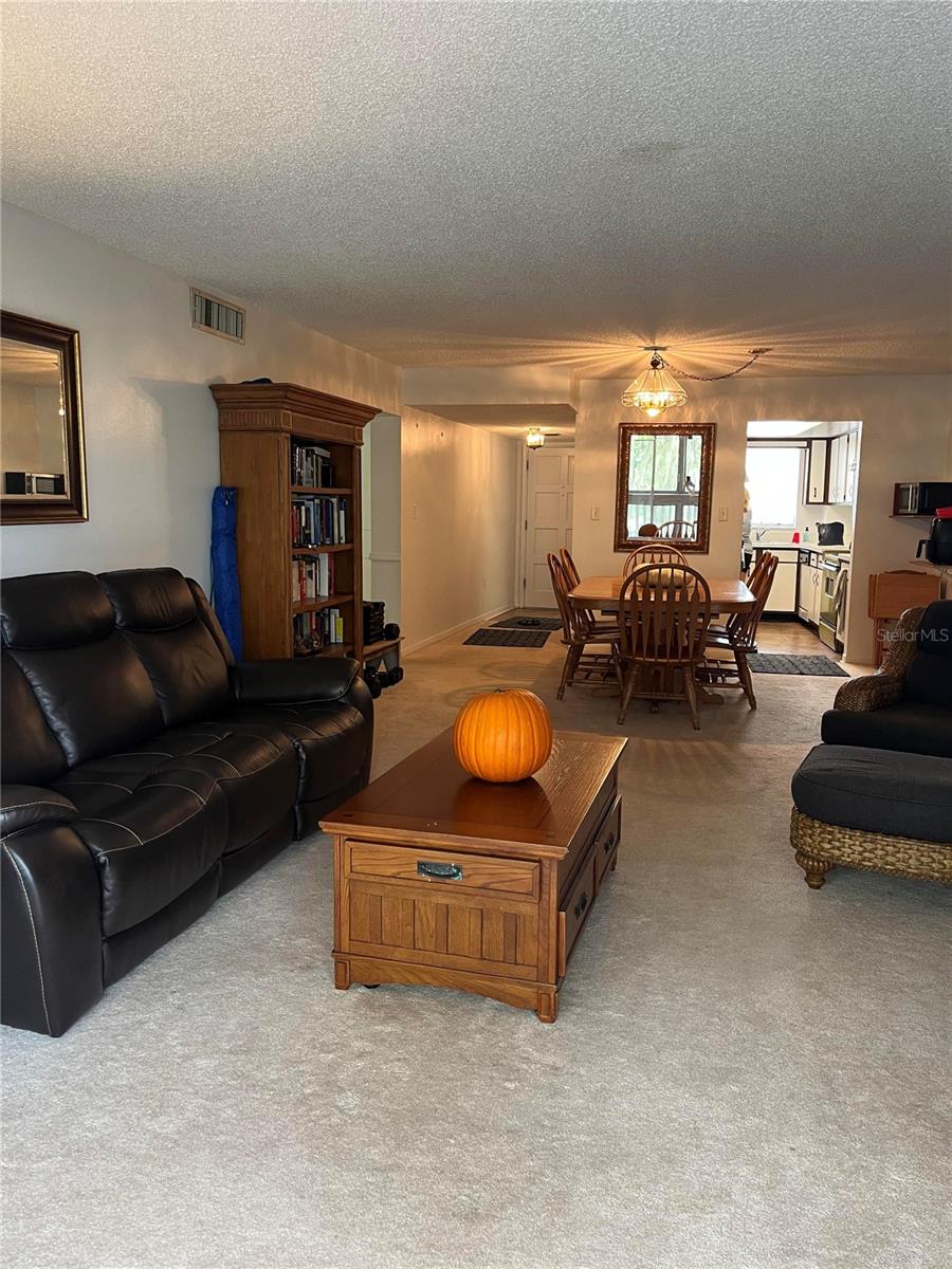 601 N MCDONALD ST #408, MOUNT DORA, FL, 32757