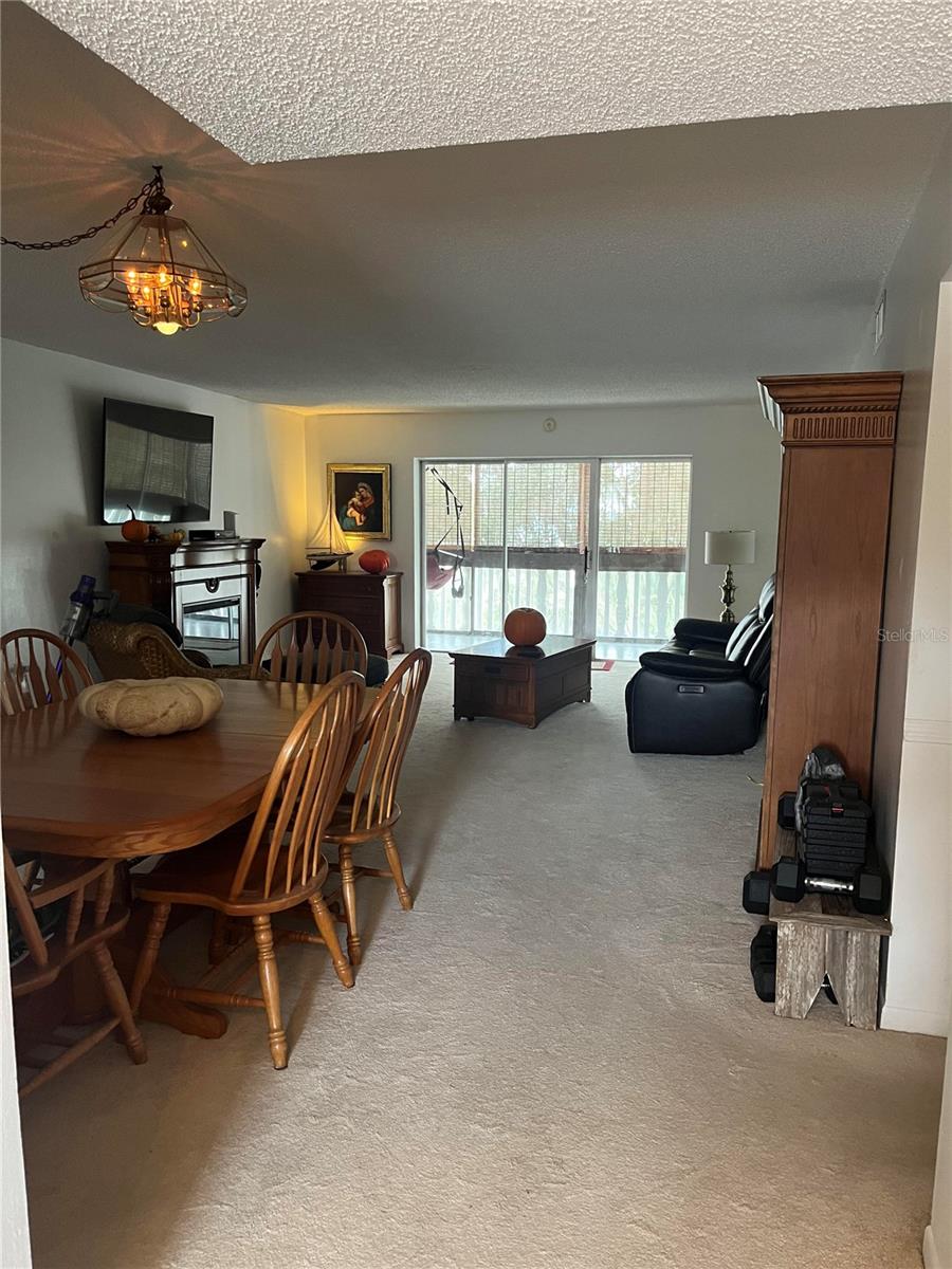 601 N MCDONALD ST #408, MOUNT DORA, FL, 32757