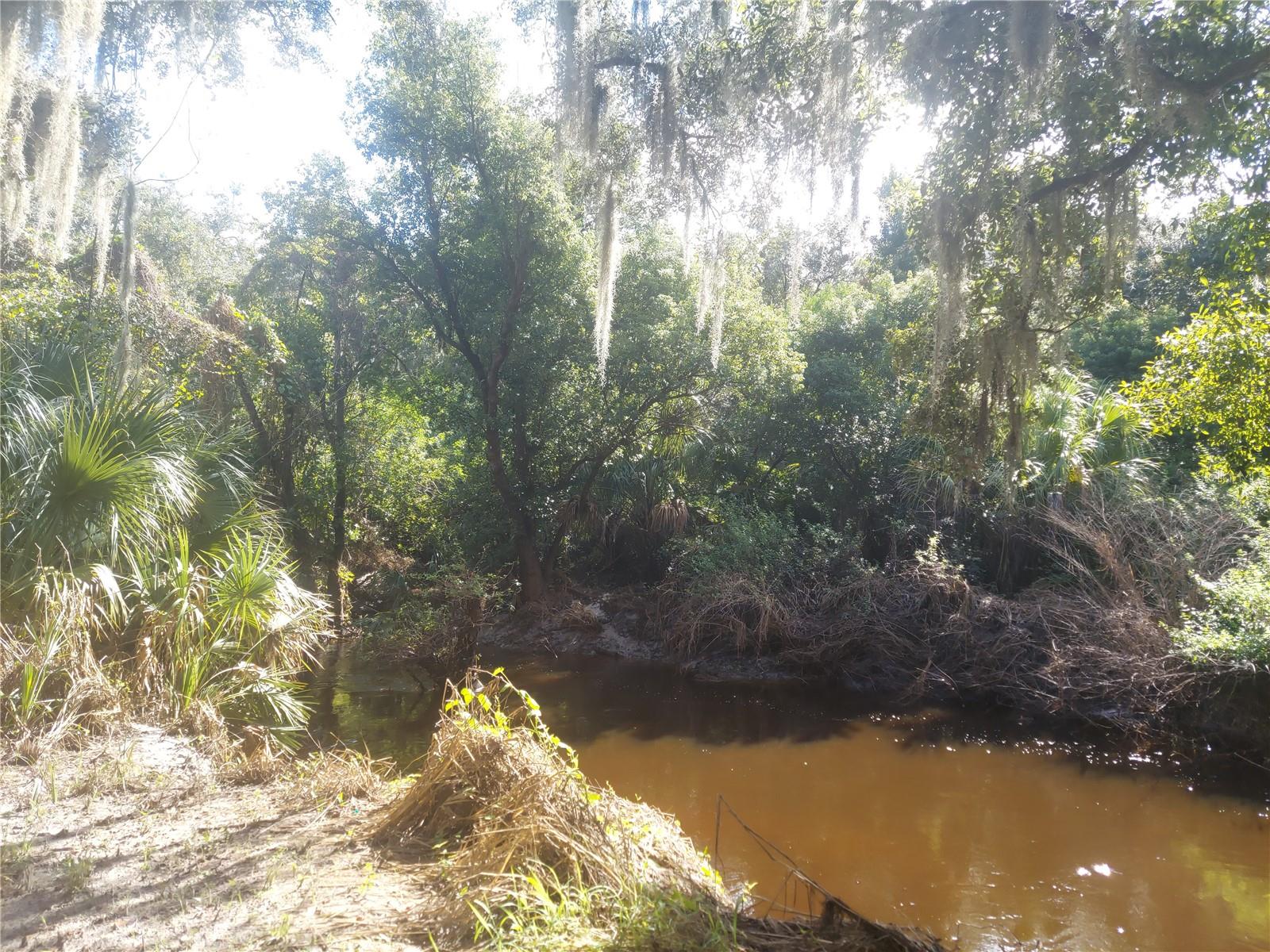 12016 BULLFROG CREEK RD, GIBSONTON, FL, 33534