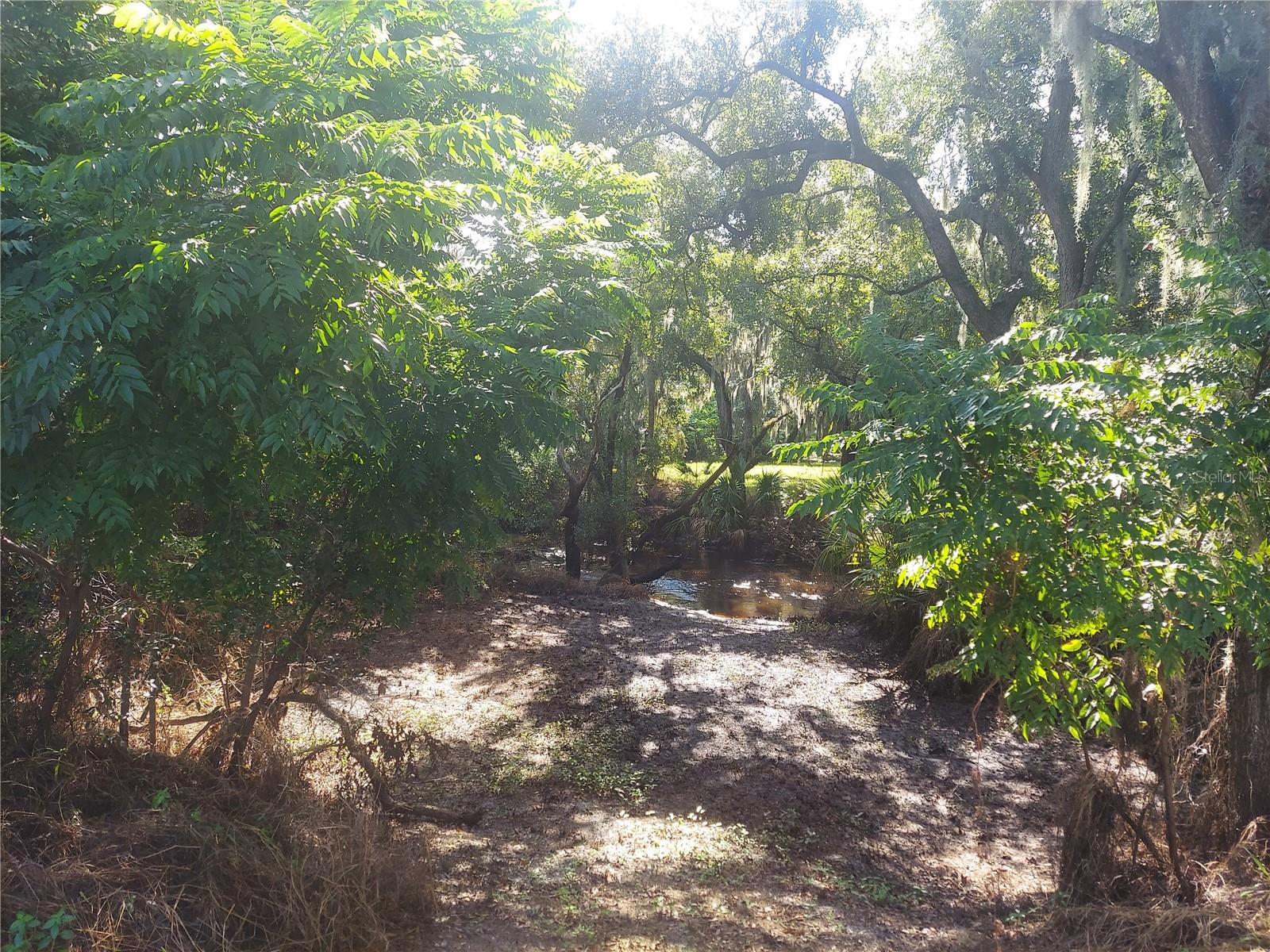 12016 BULLFROG CREEK RD, GIBSONTON, FL, 33534