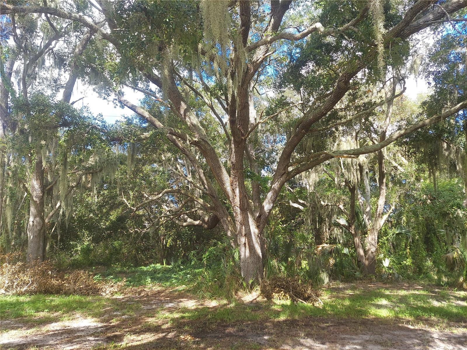12016 BULLFROG CREEK RD, GIBSONTON, FL, 33534