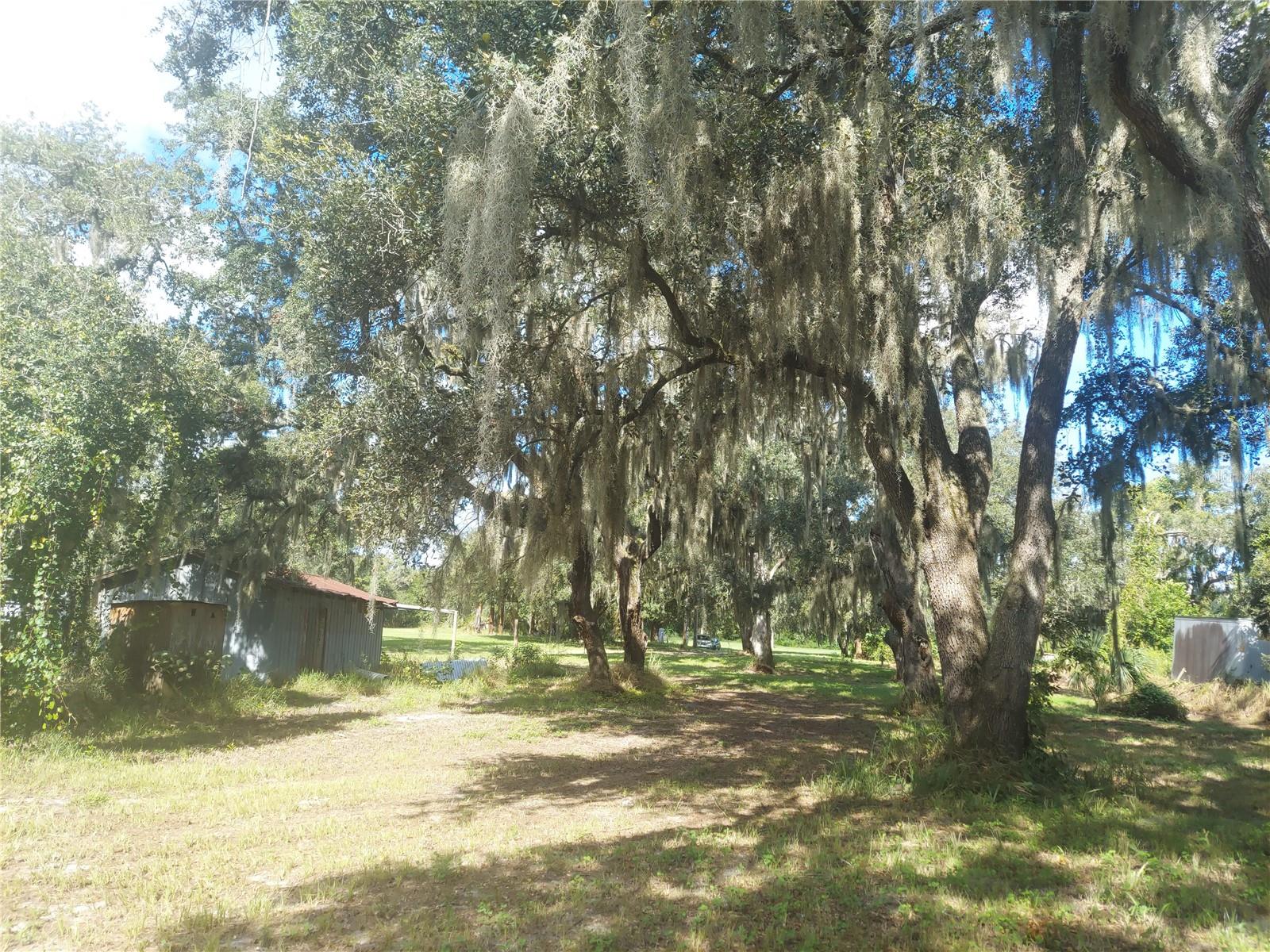 12016 BULLFROG CREEK RD, GIBSONTON, FL, 33534