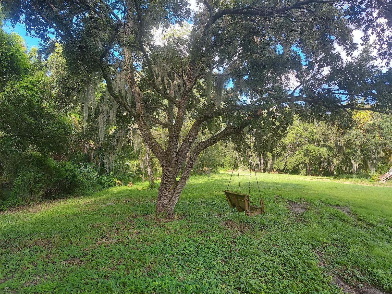 12016 BULLFROG CREEK RD, GIBSONTON, FL, 33534