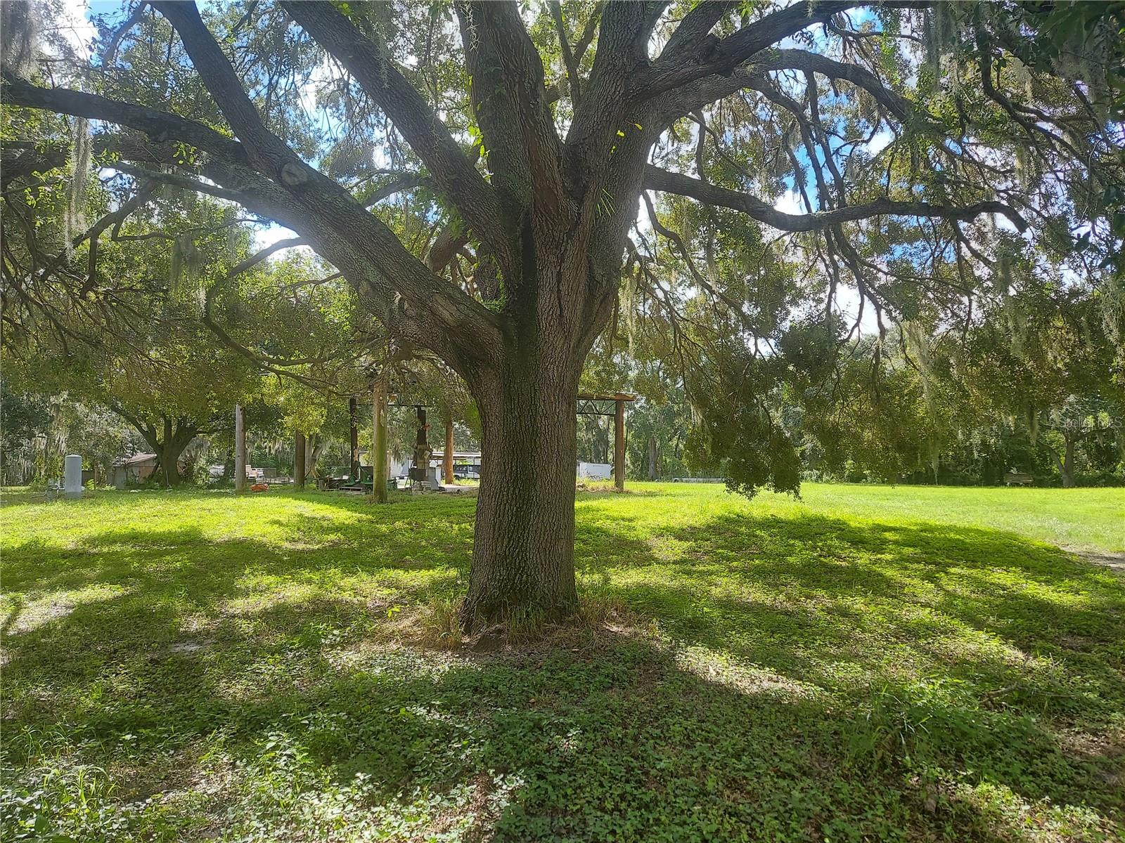 12016 BULLFROG CREEK RD, GIBSONTON, FL, 33534