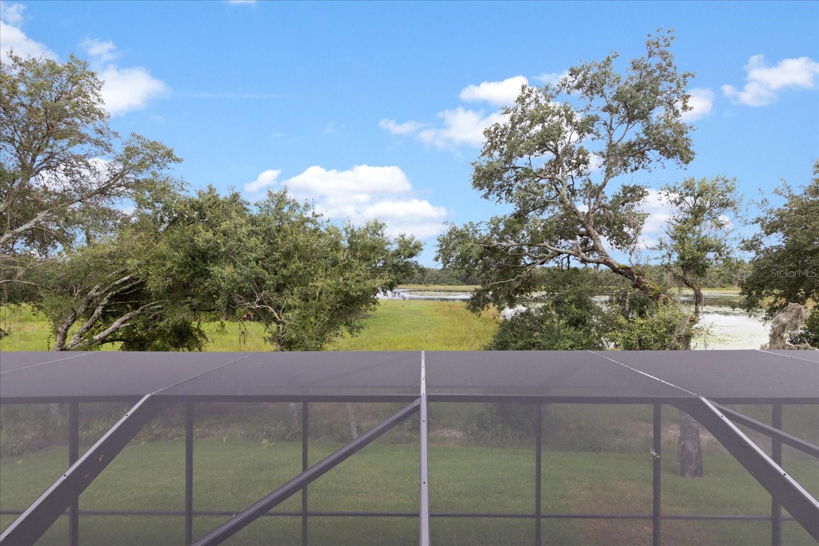 15603 SERENGETI BLVD, SPRING HILL, FL, 34610