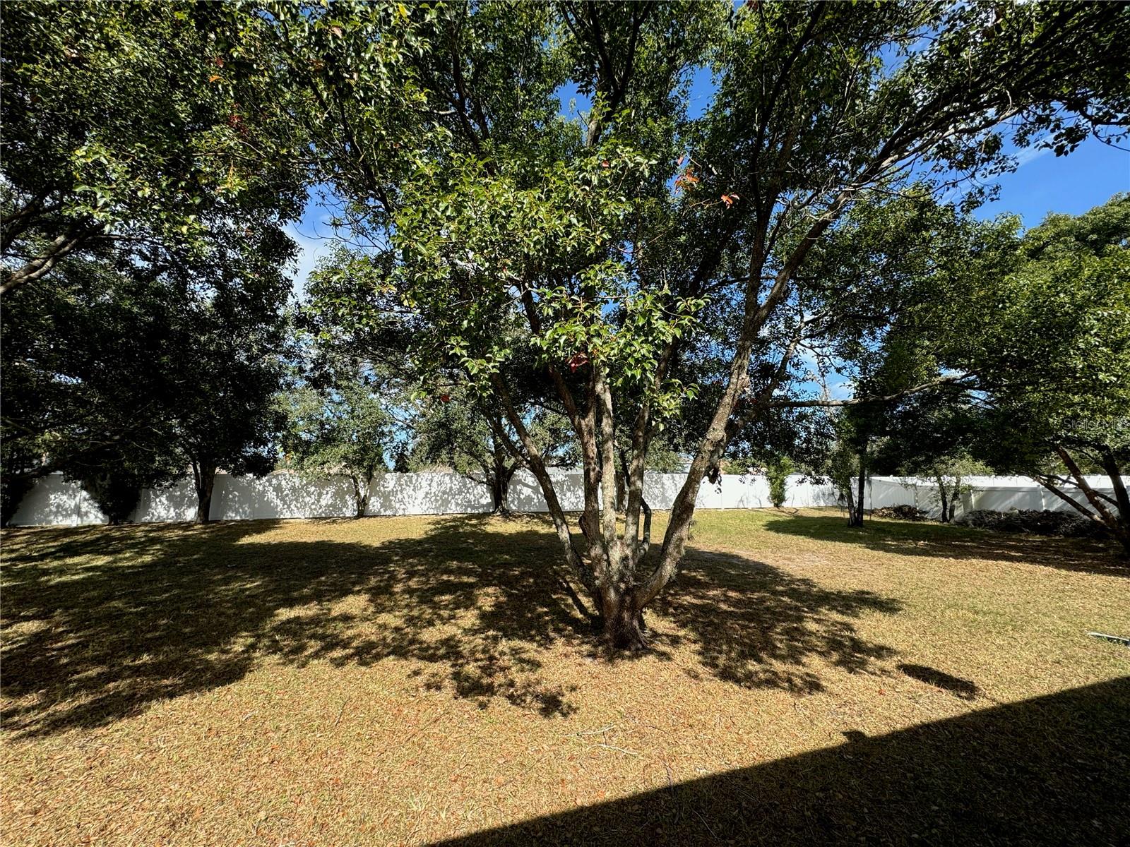 15151 EASTWOOD TRL, BROOKSVILLE, FL, 34604