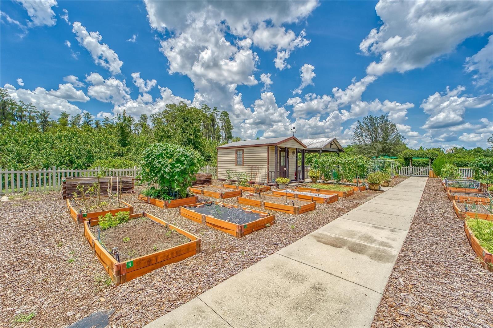 15940 COBBLE MILL DR, WIMAUMA, FL, 33598