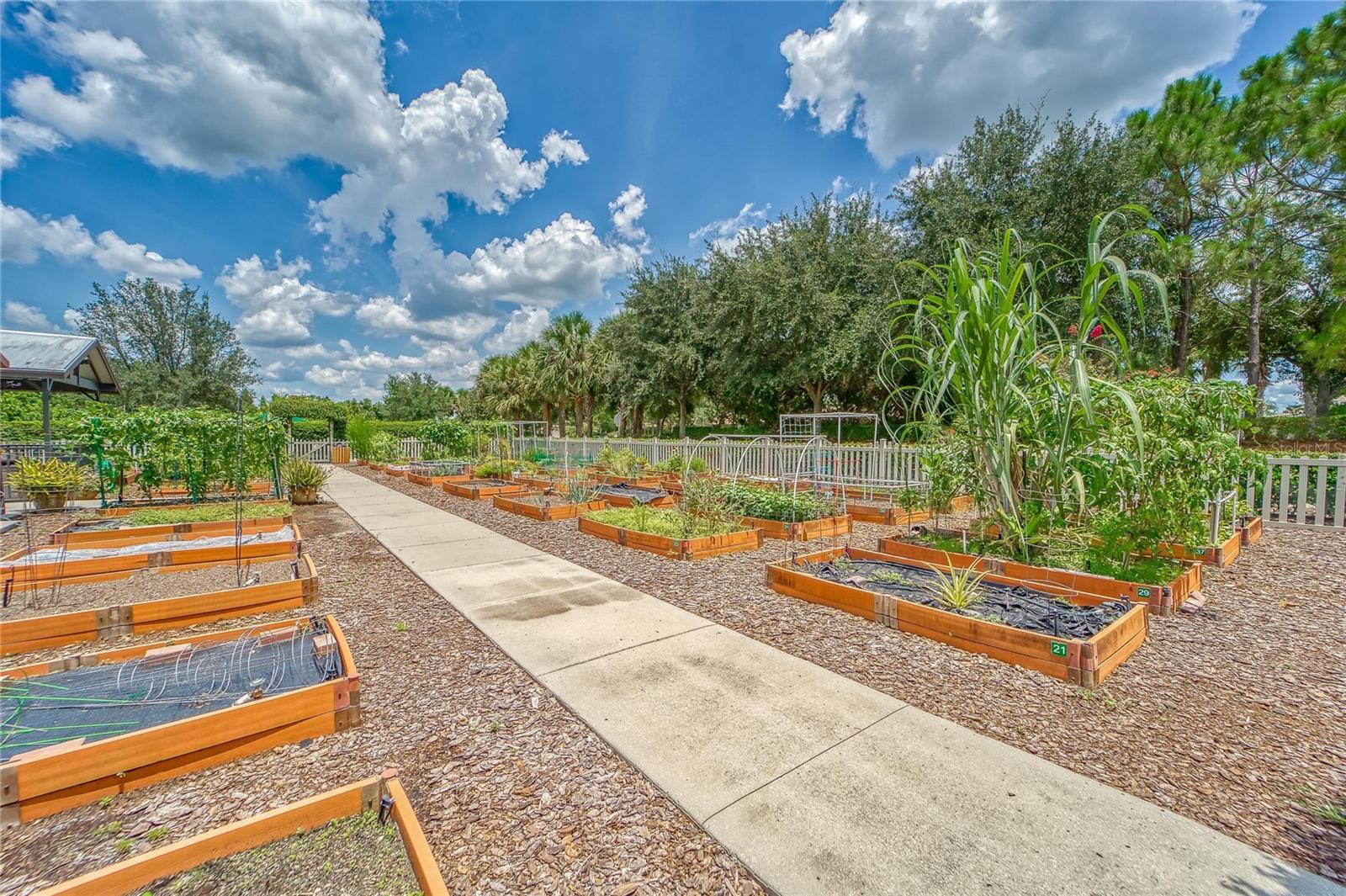 15940 COBBLE MILL DR, WIMAUMA, FL, 33598