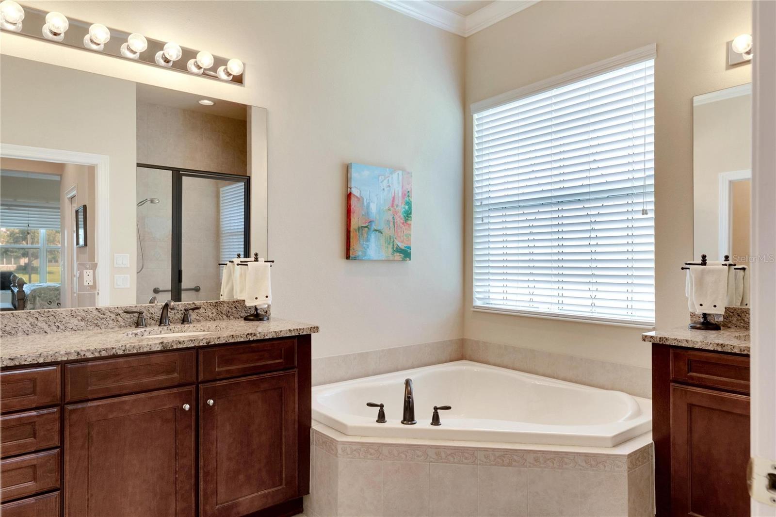 15940 COBBLE MILL DR, WIMAUMA, FL, 33598