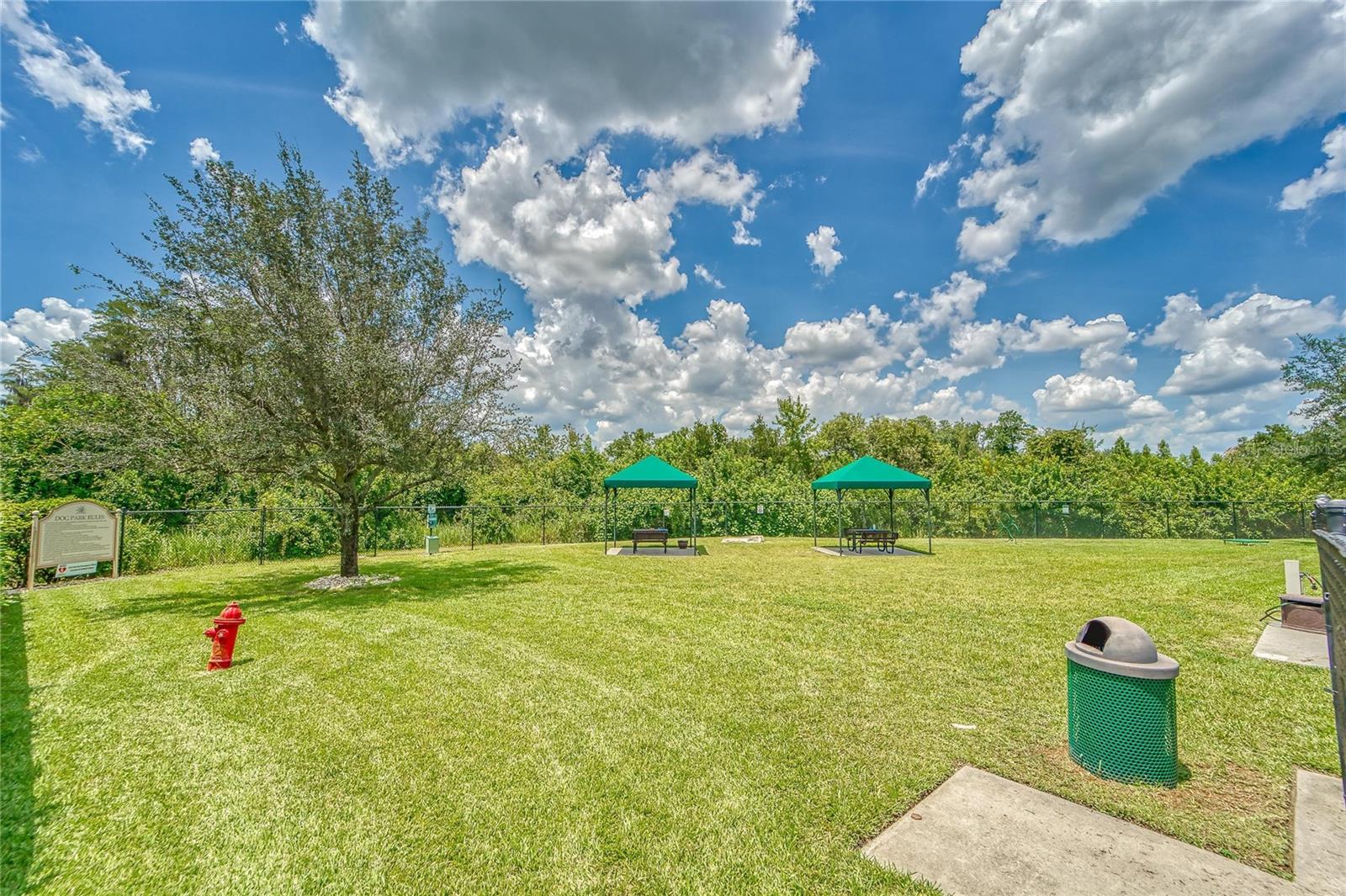 15940 COBBLE MILL DR, WIMAUMA, FL, 33598