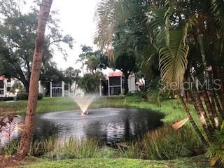 3271 BENEVA RD #204, SARASOTA, FL, 34232