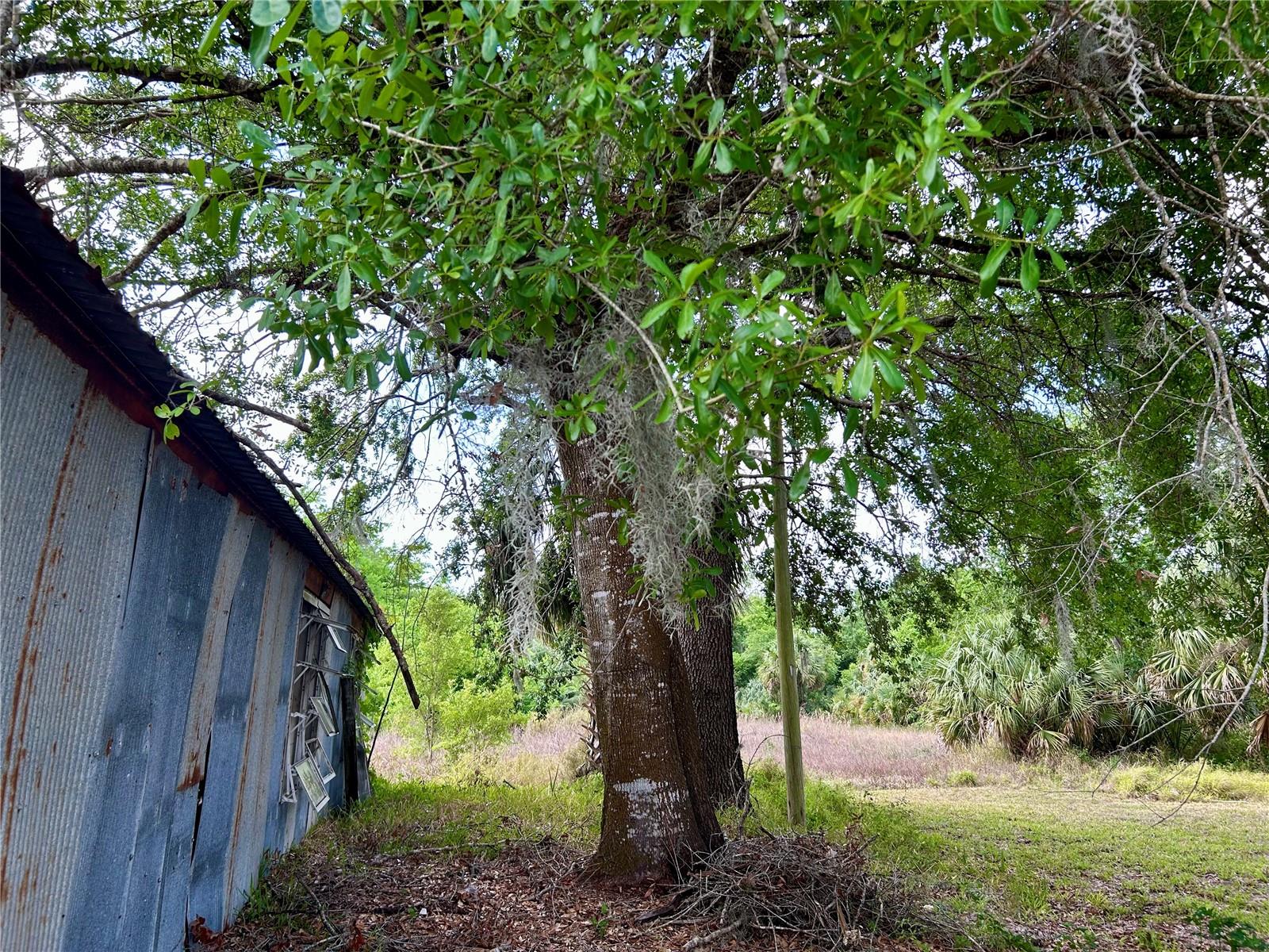 3502 MAIN ST, ZOLFO SPRINGS, FL, 33890